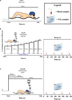 Are Young Swimmers Short and Middle Distances Energy Cost Sex-Specific?